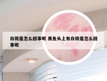 白斑是怎么回事呢 黑鱼头上有白斑是怎么回事呢