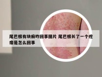 尾巴根有块癣咋回事图片 尾巴根长了一个疙瘩是怎么回事