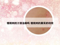 楮桃树的汁液治癣吗 楮桃树的果实的功效