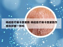 杨绍臣疗癣卡西莆散 杨绍臣疗癣卡西莆散作用和舒靓一样吗