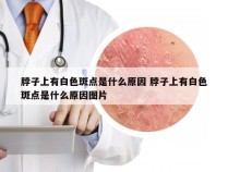 脖子上有白色斑点是什么原因 脖子上有白色斑点是什么原因图片