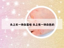 头上长一块白是啥 头上有一块白色的