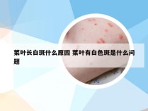 菜叶长白斑什么原因 菜叶有白色斑是什么问题