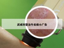 武威市整治牛皮癣小广告