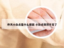 昨天小白点是什么原因 小白点突然不见了