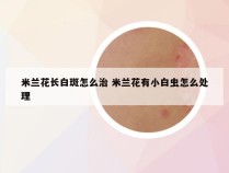 米兰花长白斑怎么治 米兰花有小白虫怎么处理