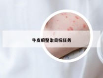 牛皮癣整治目标任务