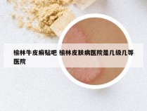 榆林牛皮癣贴吧 榆林皮肤病医院是几级几等医院