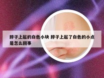 脖子上起的白色小块 脖子上起了白色的小点是怎么回事