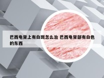 巴西龟背上有白斑怎么治 巴西龟背部有白色的东西