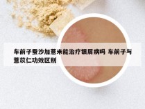 车前子蚕沙加薏米能治疗银屑病吗 车前子与薏苡仁功效区别