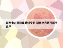 郑州电力医院皮肤科专家 郑州电力医院属于几甲