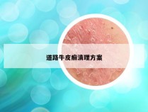 道路牛皮癣清理方案