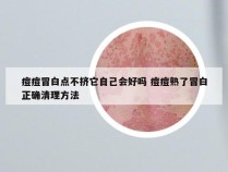 痘痘冒白点不挤它自己会好吗 痘痘熟了冒白正确清理方法