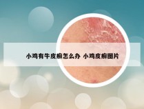 小鸡有牛皮癣怎么办 小鸡皮癣图片