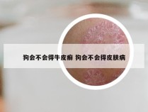 狗会不会得牛皮癣 狗会不会得皮肤病