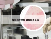 猫咪的牛皮癣 猫皮癣怎么治