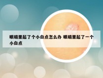 眼睛里起了个小白点怎么办 眼睛里起了一个小白点